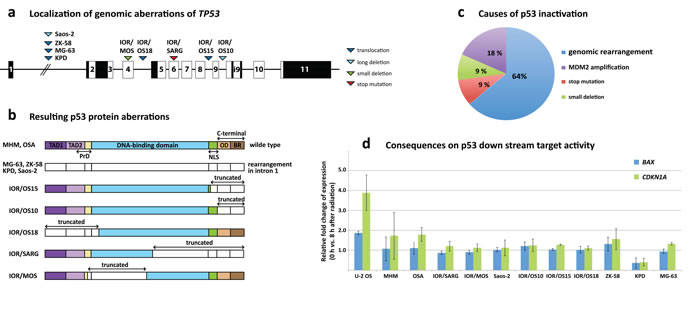 Figure 4: