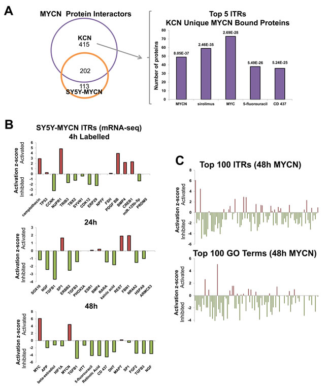 MYCN protein-protein interactors, and global repression of cellular networks by overexpressed MYCN.