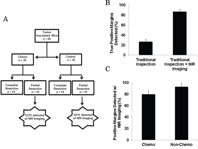 Figure 5: