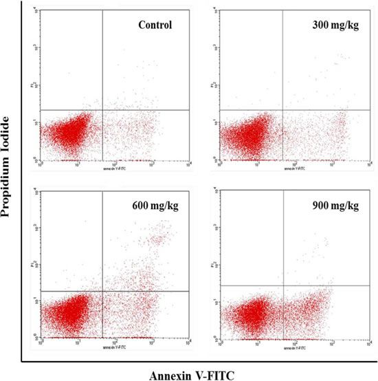 Changes of the apoptosis in the bursa of Fabricius by FCM at 42 days of age.