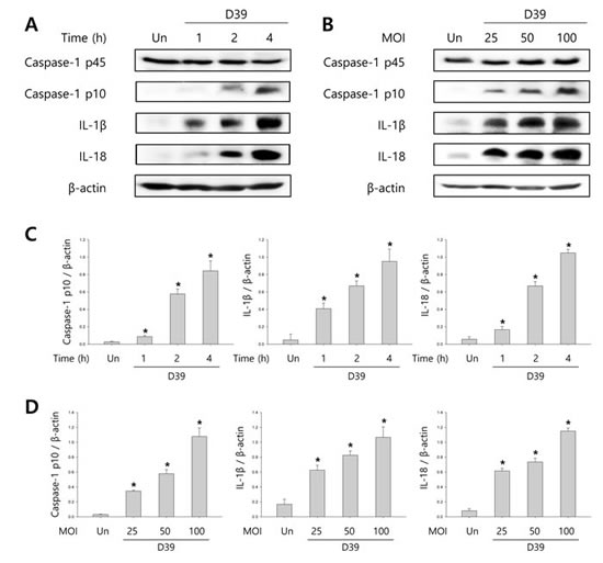 Figure 1: