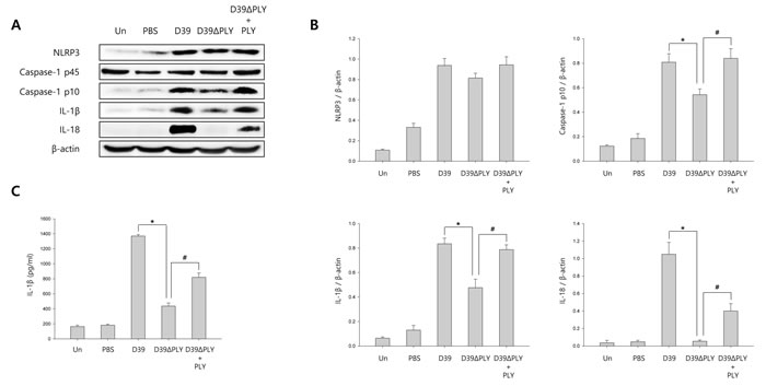 Figure 6: