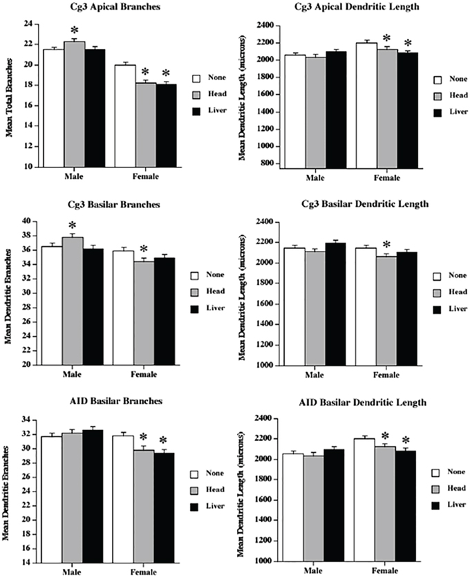 Low dose radiation exposure causes changes in dendritic branching and length.