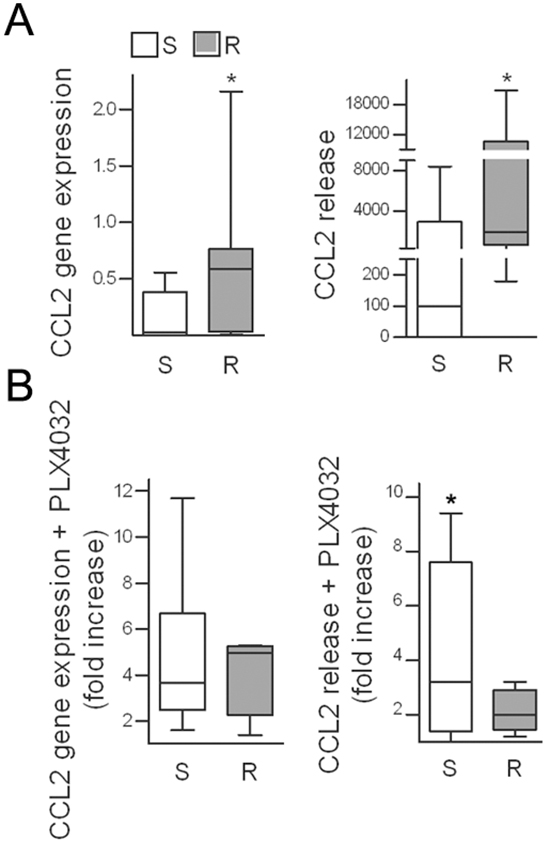 CCL2 is upregulated in PLX4032-resistant cell lines and is induced upon drug treatment.