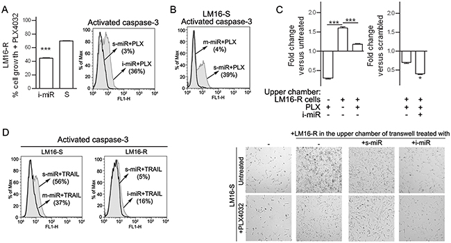 Inhibition of miR-34a, miR-100 and miR-125b increases responsiveness to PLX4032.