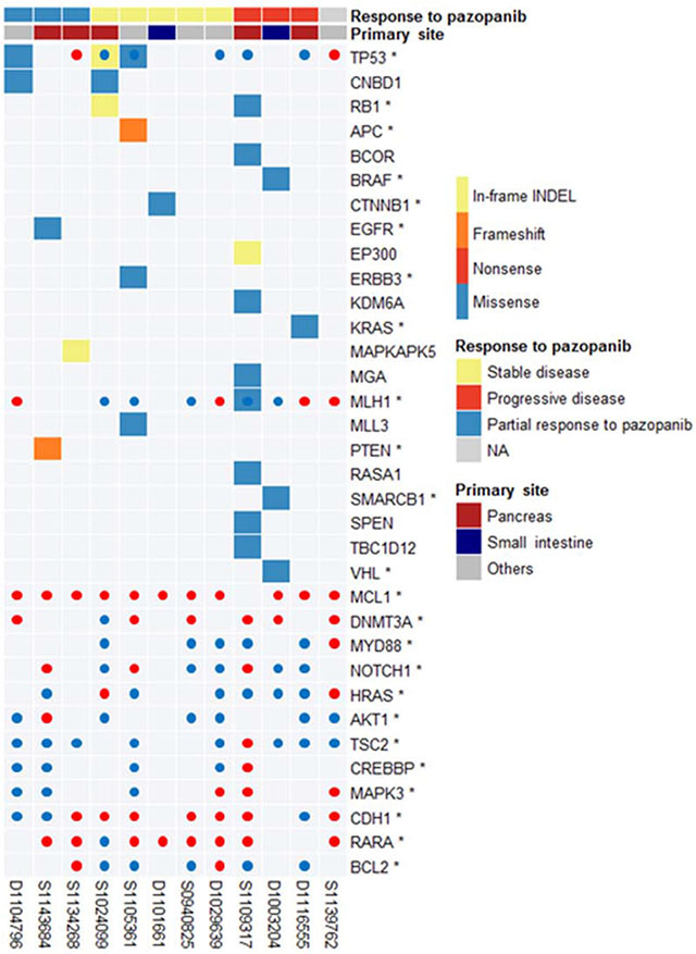 Landscape of cancer-related mutations found in 12 GEP-NETs.