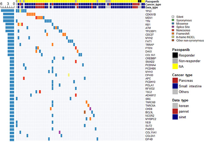 Overall mutational profile of all GEP-NETs revealed by whole exome and whole genome studies.