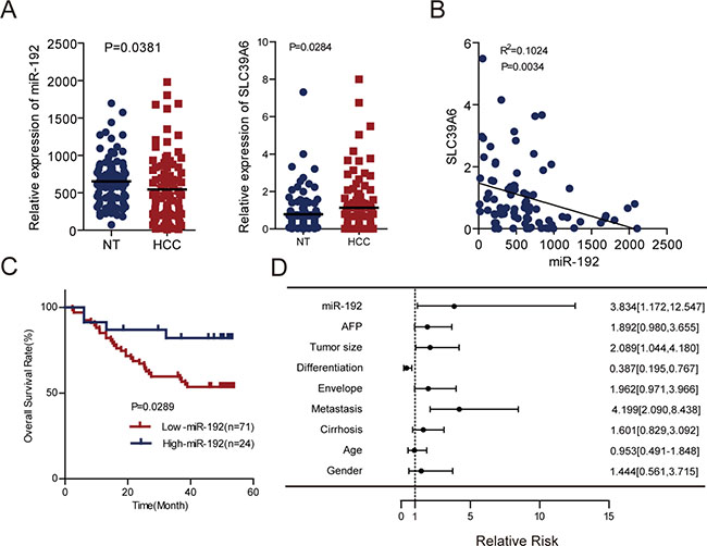 miR-192 was an independent predictor for HCC patient outcomes.