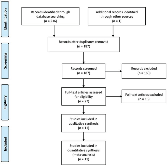 The selection of included studies.