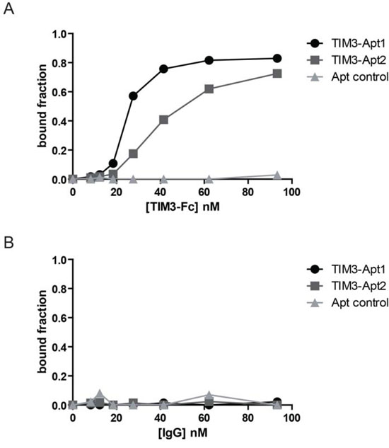 Binding of the two most abundant TIM3 aptamers to the mouse recombinant protein TIM3.