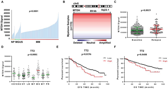 MTDH levels are correlated with poor survival in newly diagnosed myeloma patients.