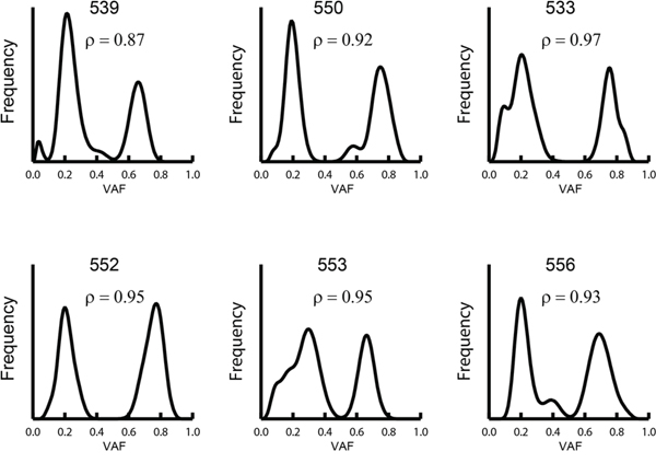 Distribution of somatic VAF on chromosome 8q in samples with gained copies of chromosome 8q.