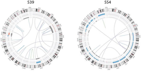 Summary of large genomic variations in two typical samples.
