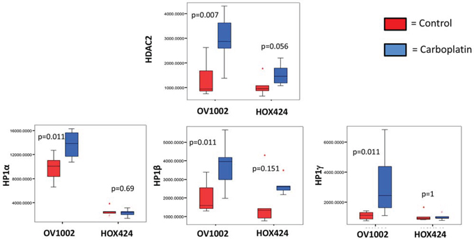 Figure 4. Expression of HDAC2, HP1&alpha;, HP1&beta; and HP1&gamma; in the OV1002 and HOX424 ovarian xenograft tumor models on Day 7 after carboplatin treatment.