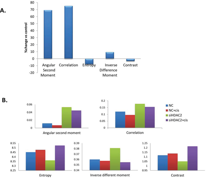 Figure 9. Changes in nuclear texture features in PEO1 cells treated with TSA (A) or transfected with HDAC2 siRNA before cisplatin treatment (B).