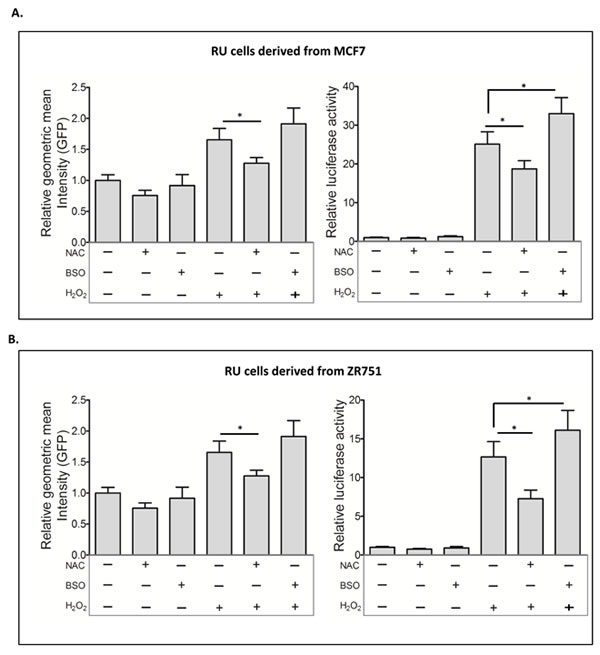 Glutathione modulations affected the RU to RR conversion.