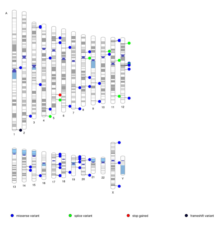 Visualization of novel and functional variants across the genome.