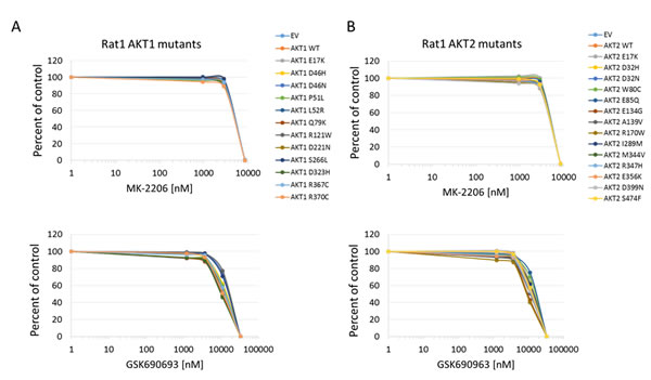 Sensitivity of Rat1a cells expressing Akt mutants to allosteric and kinase inhibitors.