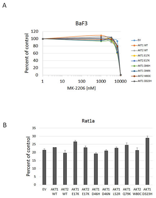 Sensitivity of BaF3 and Rat1a cells expressing Akt mutants to MK-2206 under low growth factor conditions.