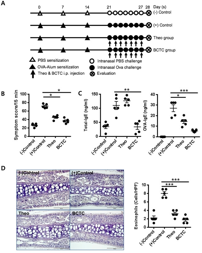 Effect of TRPV1 antagonist on the OVA-sensitized inflammatory response.