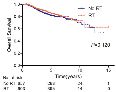 Rate of overall survival for the entire cohort of patients treated with PMRT (