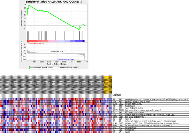 Gene set enrichment analysis for KEGG pathways mapping showing enrichment plot on the hallmark Angiogenesis comparing normal with invasive cancer samples.