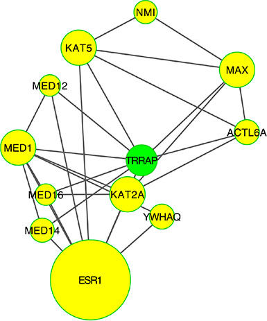 PPI-network related to chromatine remodeling.