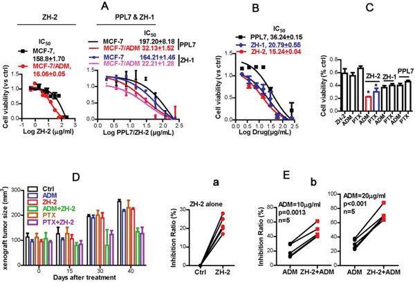 ZH-2 decreases chemoresistance in breast cancer cells.
