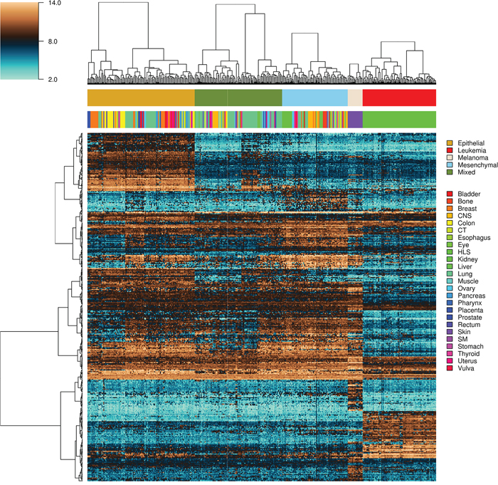 Heatmap and intra-class hierarchical clustering of 351 tumor-derived cell lines.