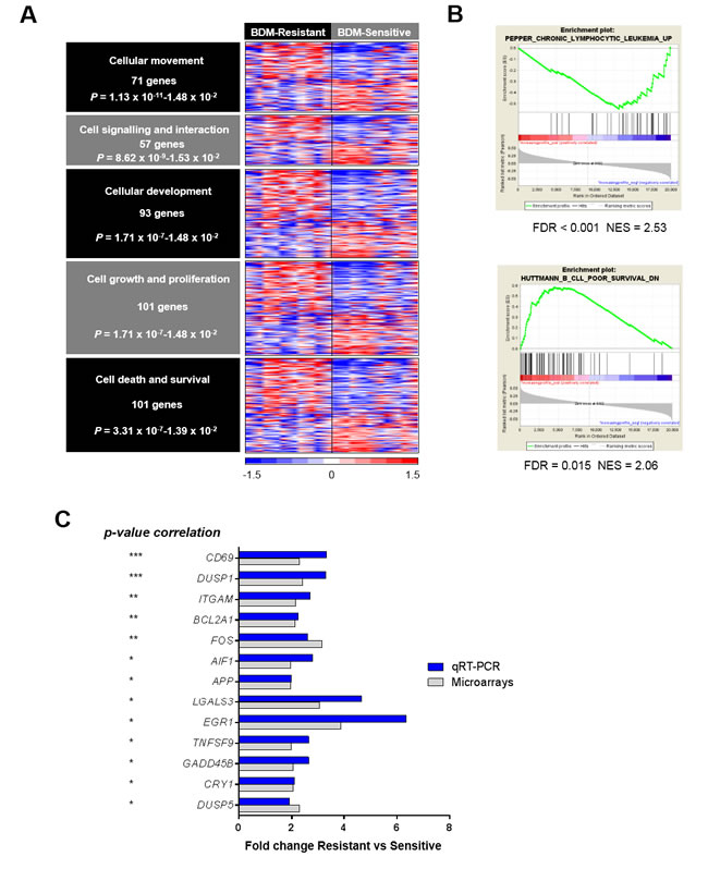 Gene expression profile of bendamustine-resistant and -sensitive cases.