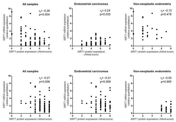 Scatter plots showing SIRT 1 and SIRT7 protein and mRNA expression correlation.