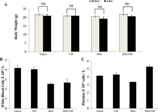 The effect of DOX, TNP and DOX-TNP on the body weight, white blood cells and platelets in nude athymic mice.