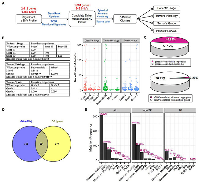 Gene-based prioritization and mutational cluster identification.