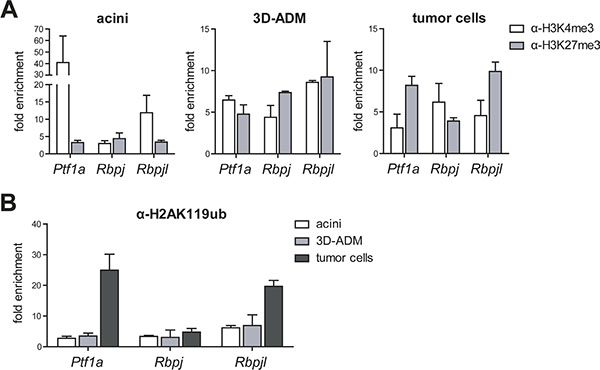 Histone modifications were changed in metaplastic acini and pancreatic tumor cells.