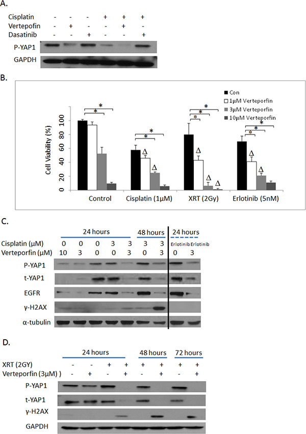 Figure 6: