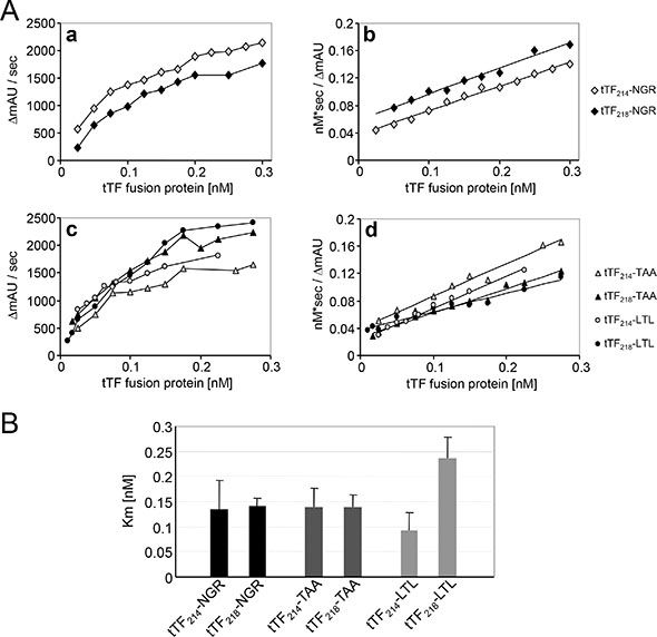 Factor X activation assay of the different tTF proteins.