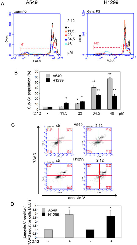 Activation of apoptotic process causes 2.12-mediated cell death.