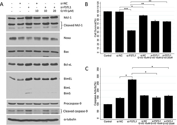 FSTL1 inhibition induced caspase-dependent apoptosis.