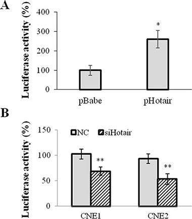 Hotair directly regulated VEGFA promoter activation.