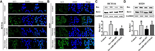 miR-183 antagonized starvation-induced cell death in colon cancer cells.