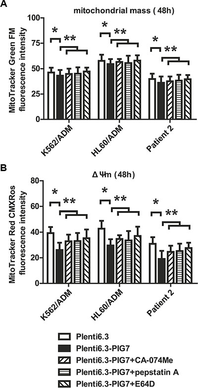 Effect of pig7 on the changes in mitochondrial mass and membrane potential (&#x0394;&#x03A8;m).