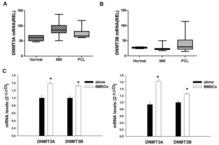 Expression of DNMT3A and DNMT3B in MM and PCL patients or in MM cell lines.