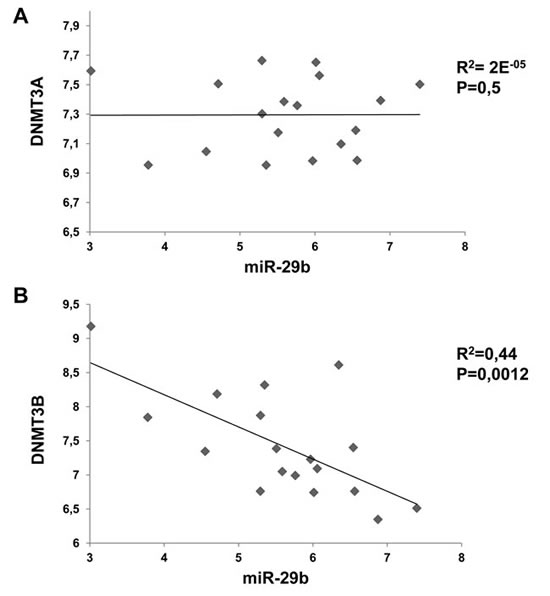 Inverse correlation between miR-29b and DNMT3B levels in MM cell lines.