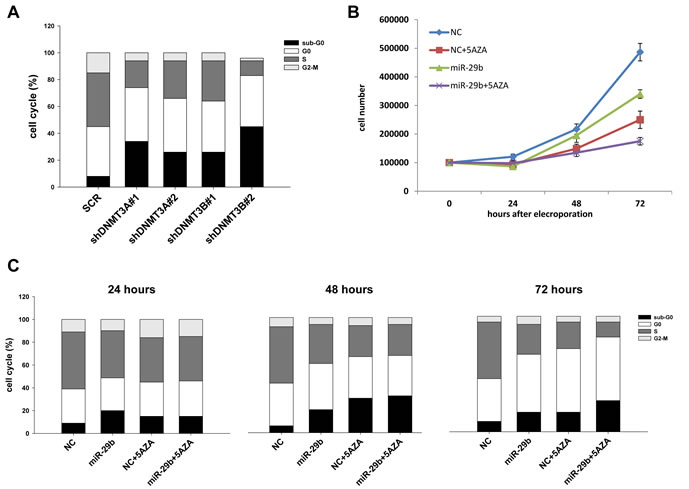 MiR-29b alters cell cycle progression and potentiates 5-azacitidine effects in MM cells.