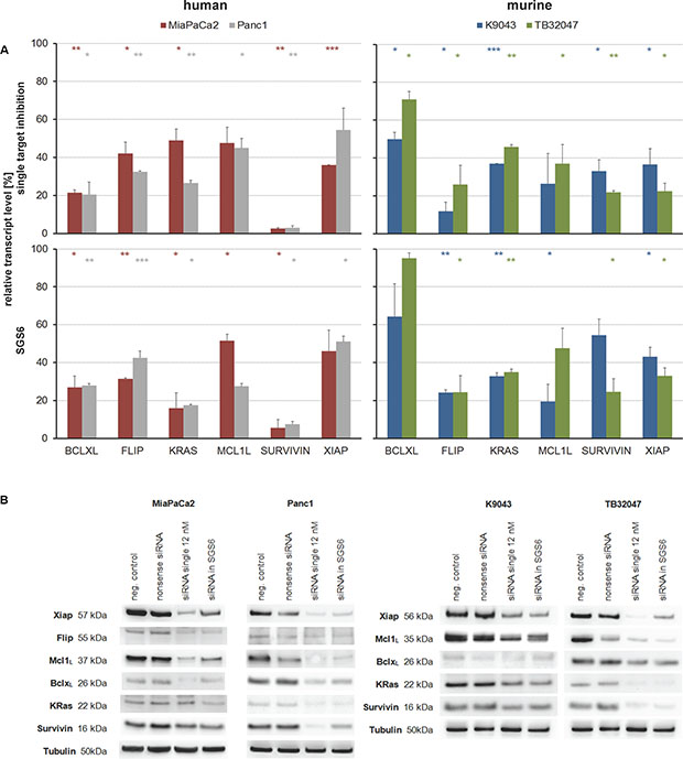 Target inhibition by single and combined, low-concentration siRNA treatment.