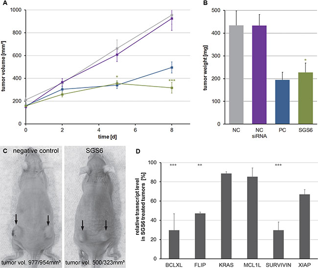 Treatment of subcutaneous TB32047-allografts with the SGS6 therapy.