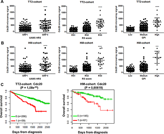 Cdc20 expression levels and prognostic value in MM patients.