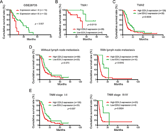 EDIL3 expression is correlated with overall survival rate independent of TNM stage and lymph node metastasis.