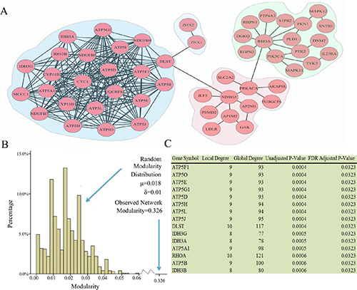 Network modules identified in ovarian cancer subtype 1.