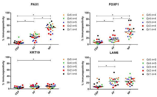 Immunopositive quantification of post mortem intervertebral disc samples.